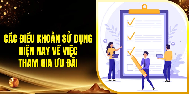 Các điều khoản sử dụng hiện nay về việc tham gia ưu đãi