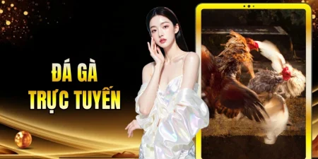 Đá gà trực tuyến