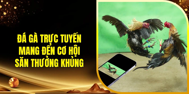 Đá gà trực tuyến mang đến cơ hội săn thưởng khủng