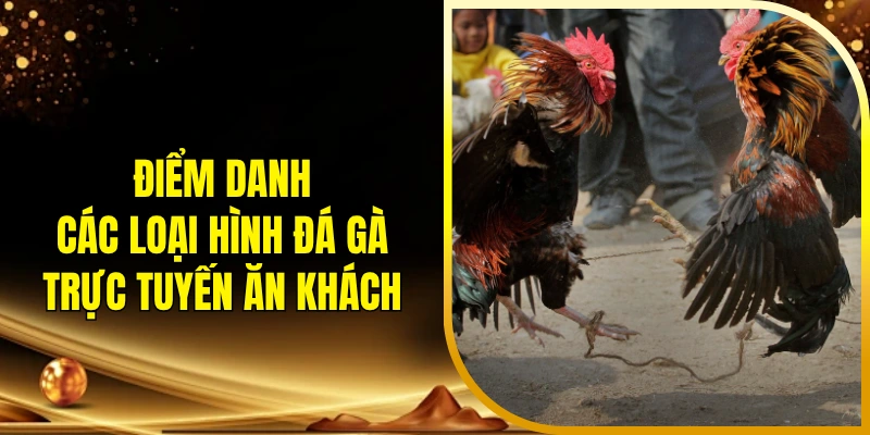 Điểm danh các loại hình đá gà trực tuyến ăn khách