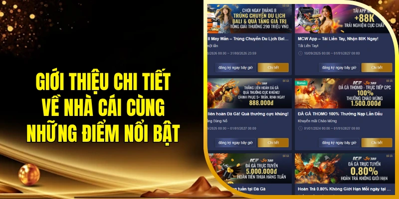 Giới thiệu chi tiết về nhà cái cùng những điểm nổi bật