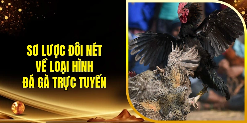 Sơ lược đôi nét về loại hình đá gà trực tuyến